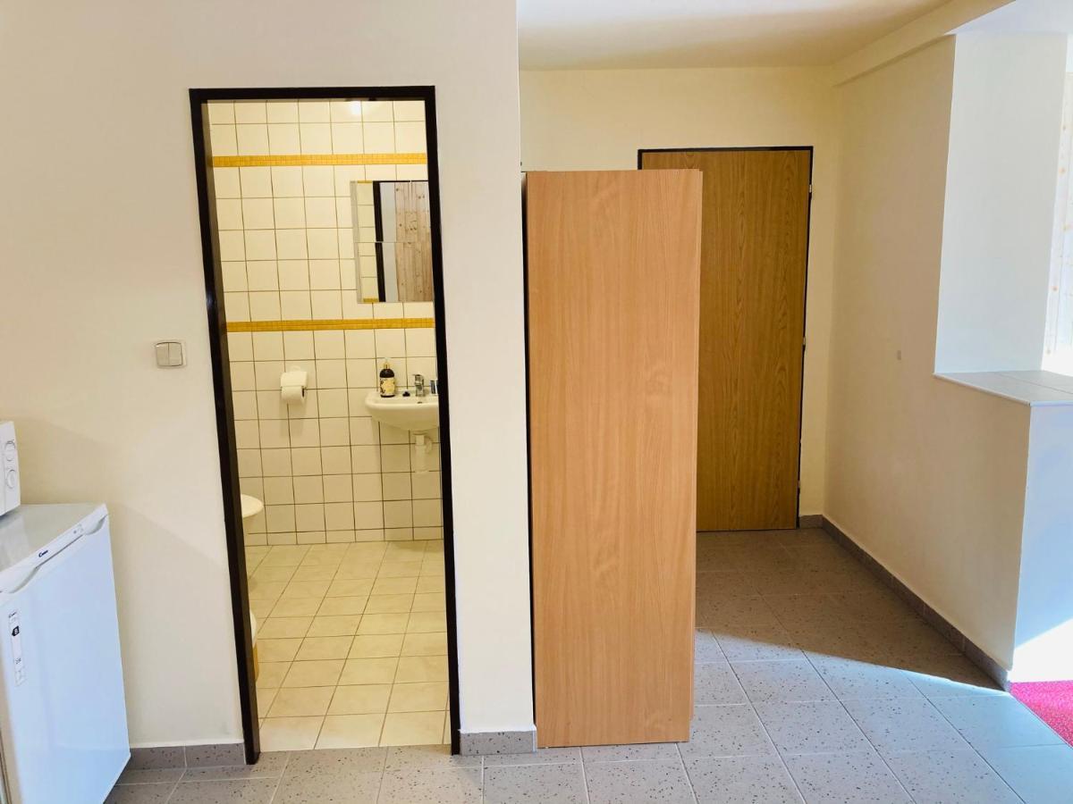 Studia Pod Lysou Appartement Rokytnice nad Jizerou Buitenkant foto