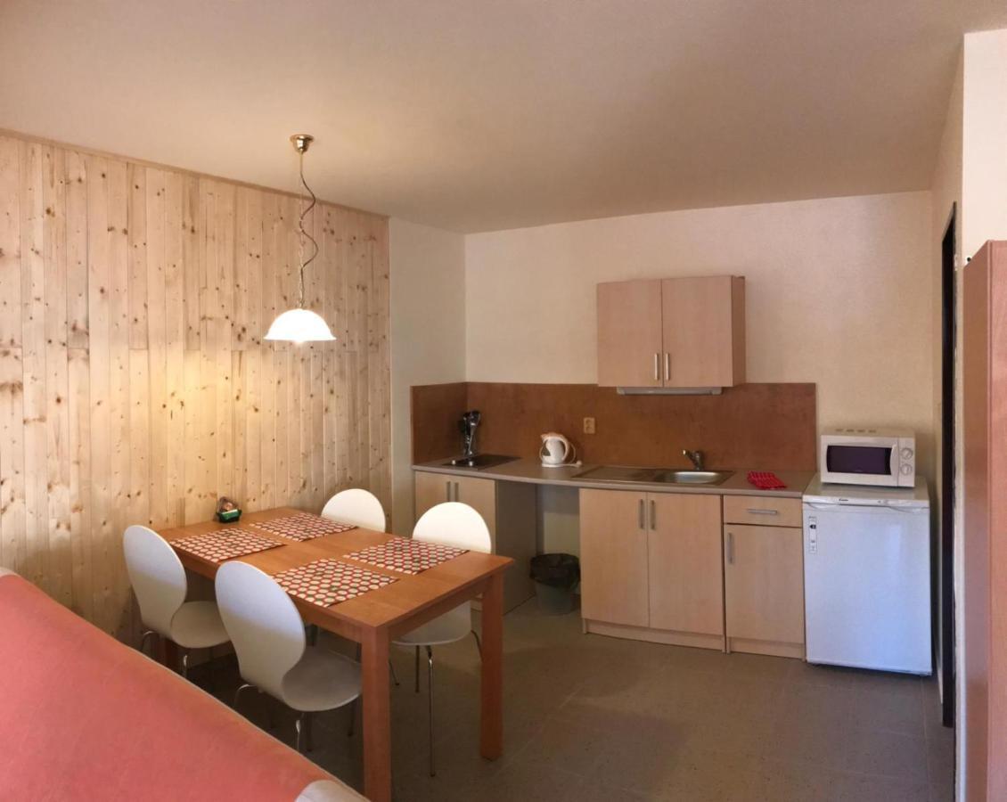 Studia Pod Lysou Appartement Rokytnice nad Jizerou Buitenkant foto