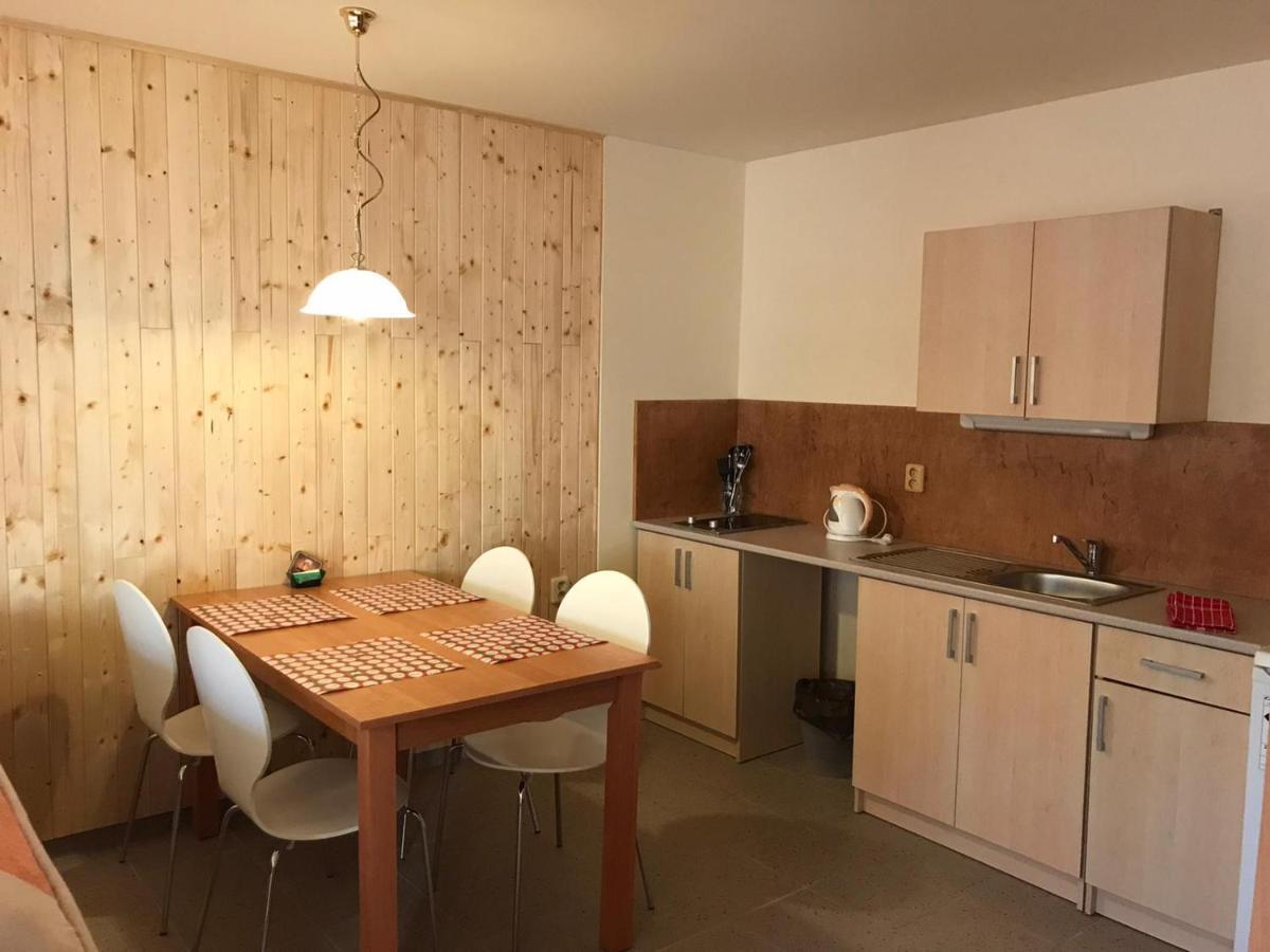 Studia Pod Lysou Appartement Rokytnice nad Jizerou Buitenkant foto