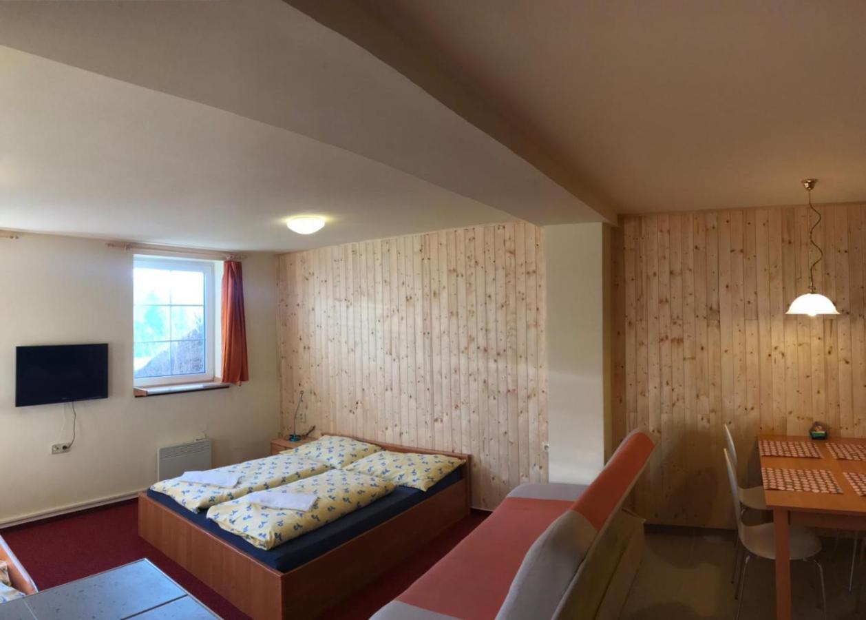 Studia Pod Lysou Appartement Rokytnice nad Jizerou Buitenkant foto