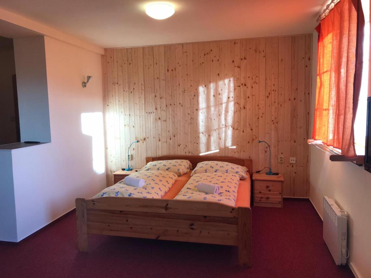 Studia Pod Lysou Appartement Rokytnice nad Jizerou Buitenkant foto