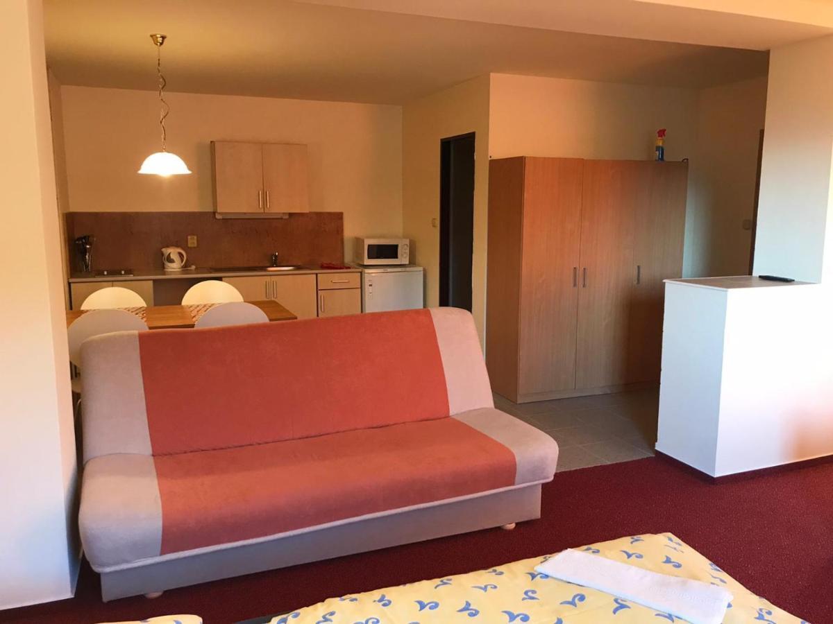 Studia Pod Lysou Appartement Rokytnice nad Jizerou Buitenkant foto