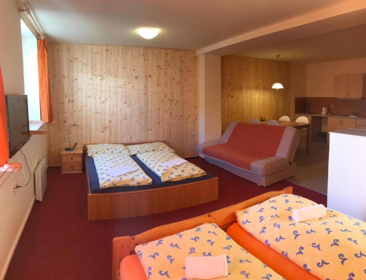 Studia Pod Lysou Appartement Rokytnice nad Jizerou Buitenkant foto