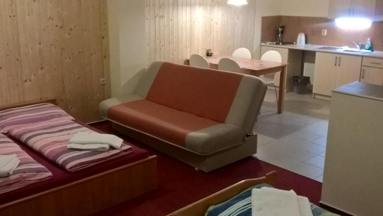 Studia Pod Lysou Appartement Rokytnice nad Jizerou Buitenkant foto