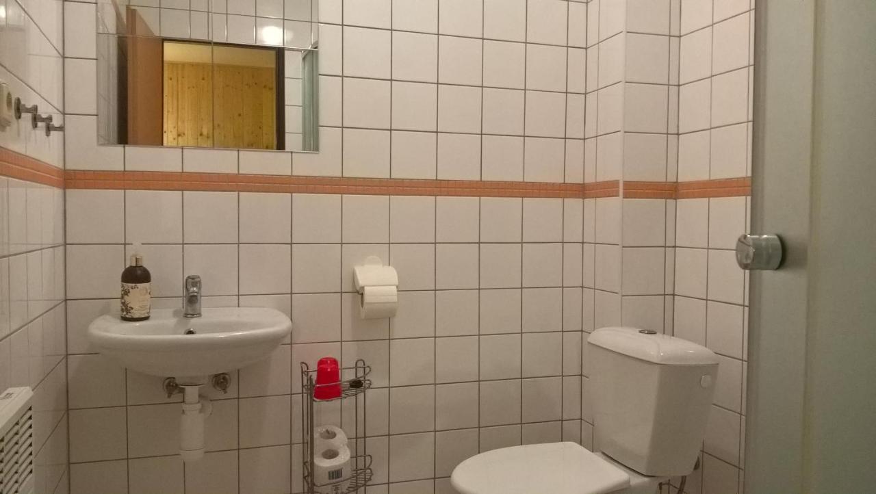 Studia Pod Lysou Appartement Rokytnice nad Jizerou Buitenkant foto