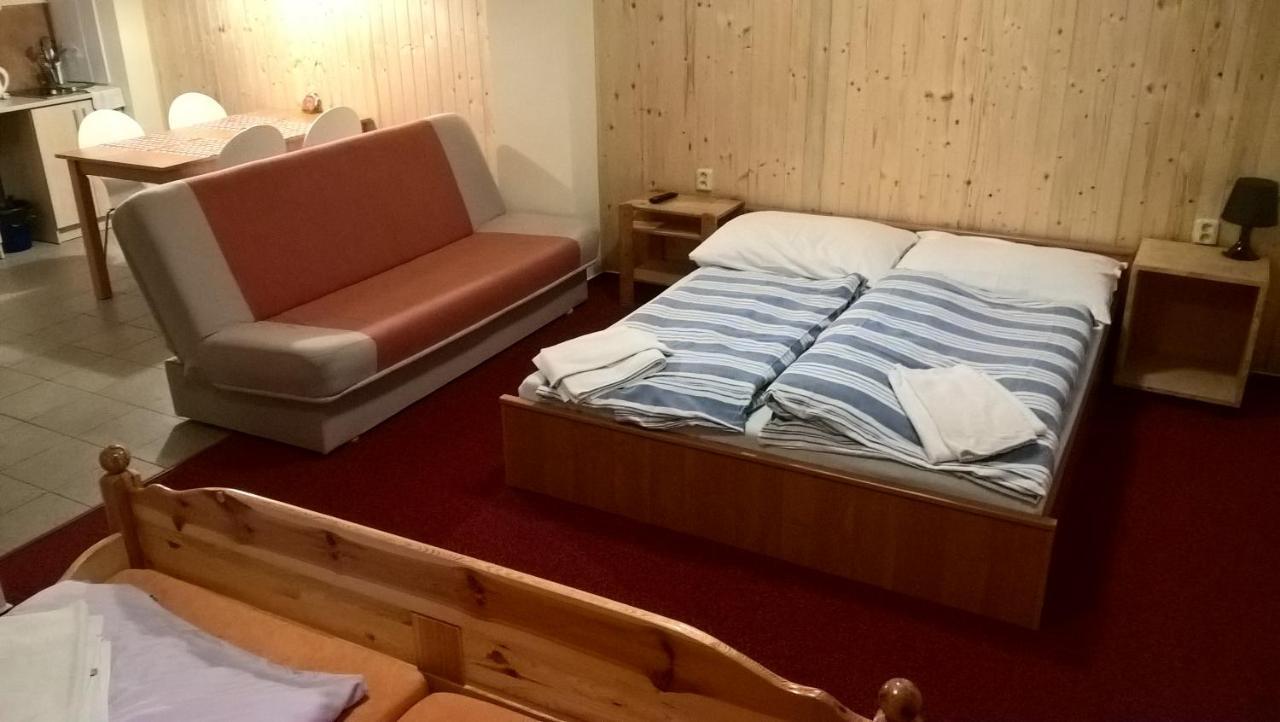 Studia Pod Lysou Appartement Rokytnice nad Jizerou Buitenkant foto